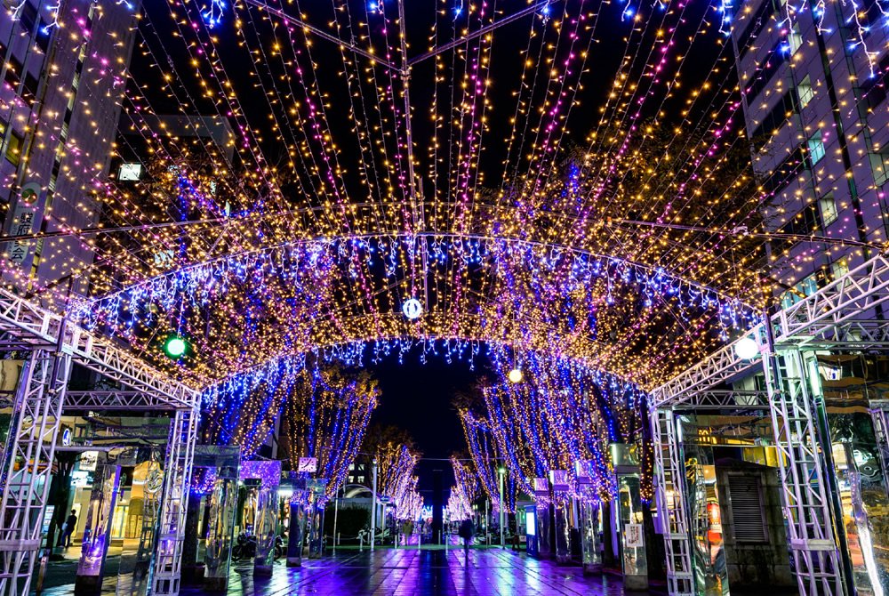 🌳 아오바 심볼 로드(아오바 신보루 로도) 이미지 4